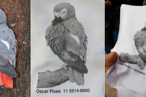 Qualidade de impressão tampográfica em tecido