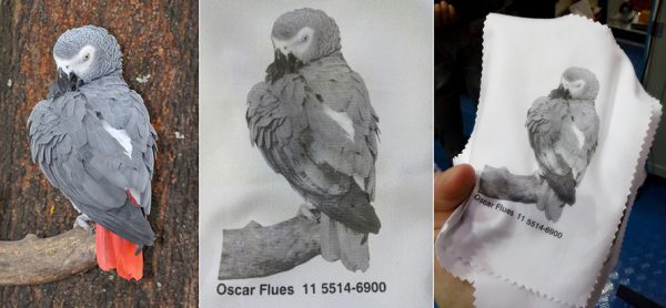 Qualidade de impressão tampográfica em tecido